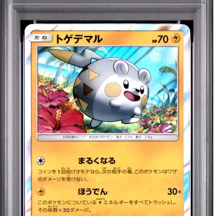 [BUNJANG] Pokemon Togedemaru Promo Card PSA 10 / [PSA10] 포켓몬카드 토게데마루 프로모 일판 pops24