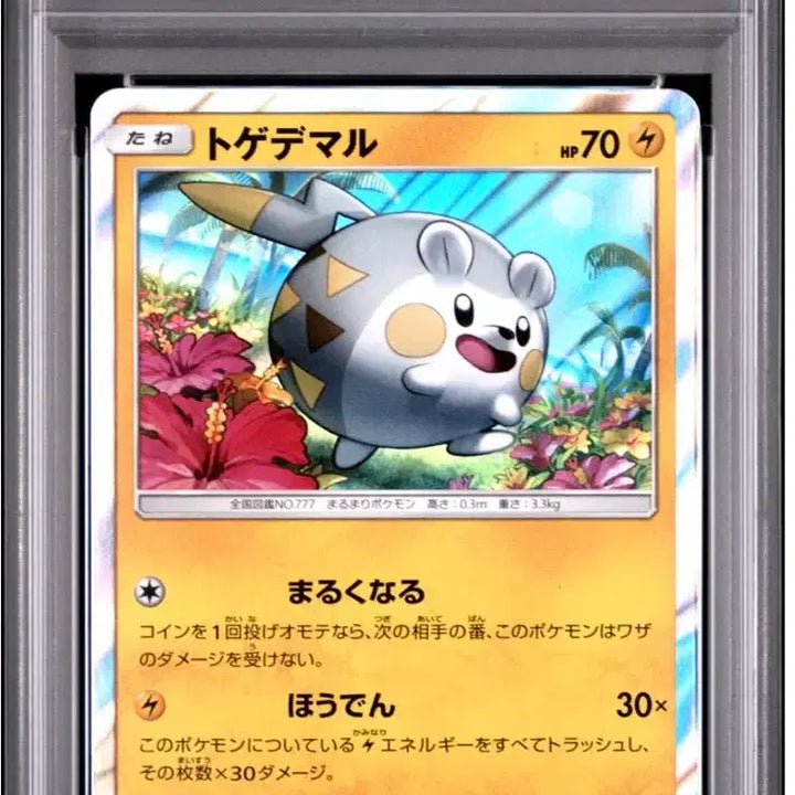 [BUNJANG] Pokemon Togedemaru Promo Card PSA 10 / [PSA10] 포켓몬카드 토게데마루 프로모 일판 pops24