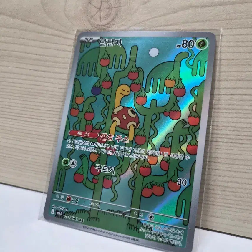 [BUNJANG] Dan Dan Ji AR Photocard / [S급] 단단지 AR
