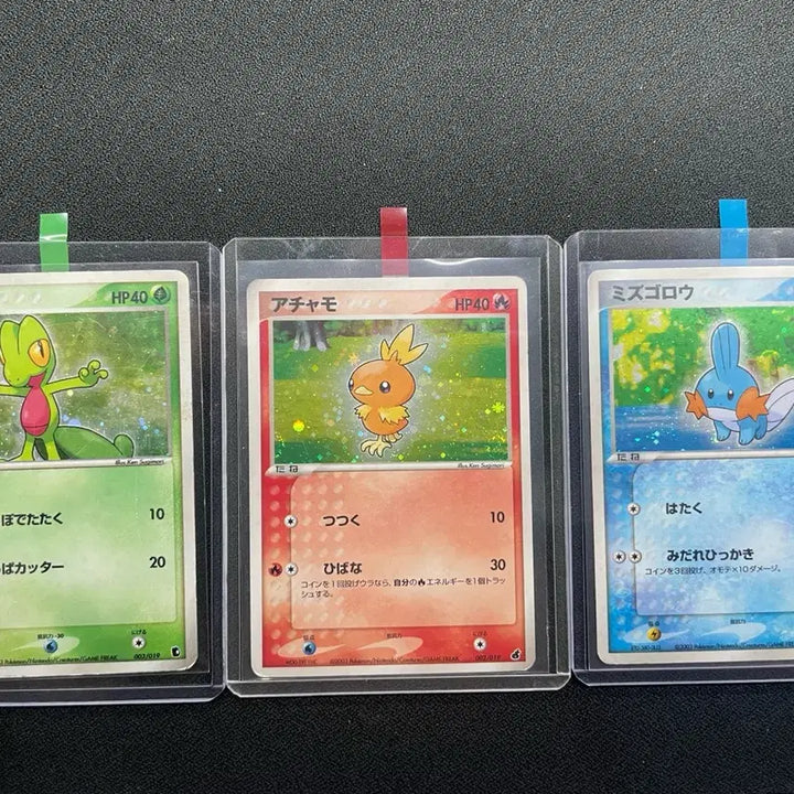 [BUNJANG] Pokemon Japanese Hoenn Starters 2003 Bundle Set (Album Use) / 포켓몬카드 일판: 호연지방 스타터 2003 일괄 (앨범용)