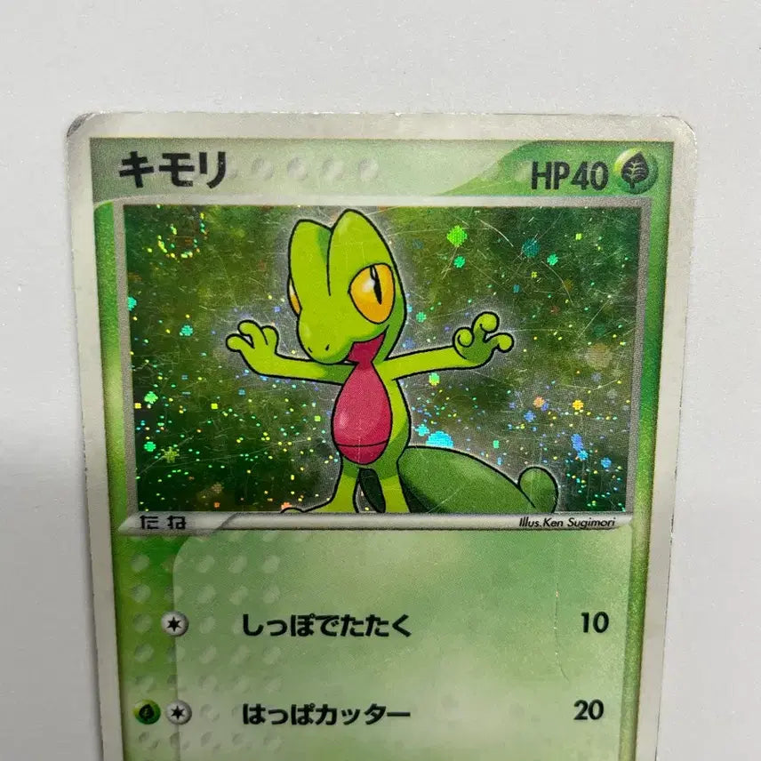 [BUNJANG] Pokemon Japanese Hoenn Starters 2003 Bundle Set (Album Use) / 포켓몬카드 일판: 호연지방 스타터 2003 일괄 (앨범용)