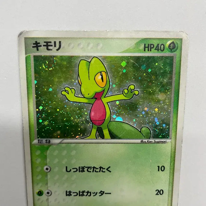 [BUNJANG] Pokemon Japanese Hoenn Starters 2003 Bundle Set (Album Use) / 포켓몬카드 일판: 호연지방 스타터 2003 일괄 (앨범용)