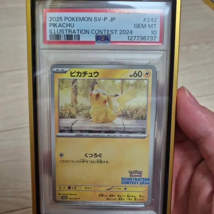 [BUNJANG] Pokemon Pokemon GO Jigglypuff PSA 10 with Case / 포켓몬 하품츄 프로모 PSA10 케이스 포함 판매