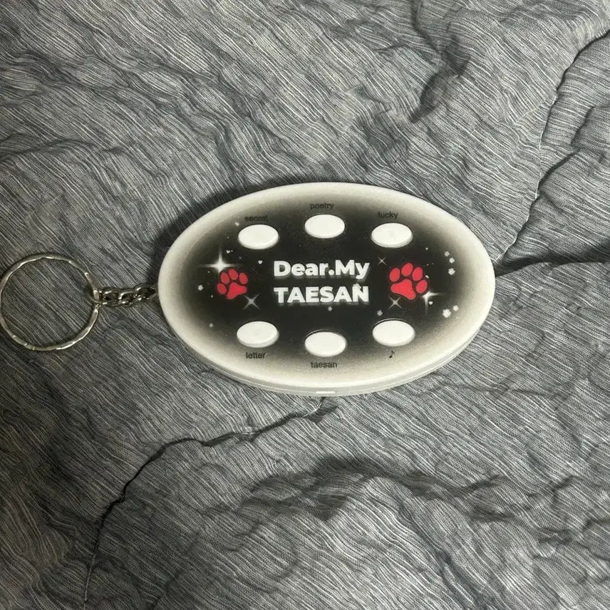 [BUNJANG] BOYNEXTDOOR Taesan Voice Keyring / 보넥도 태산 보이스키링