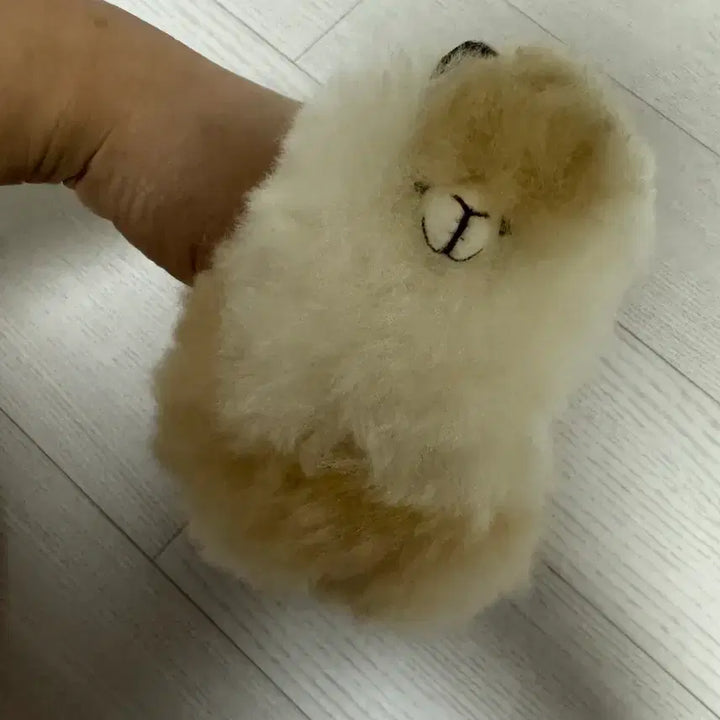 [BUNJANG] Alpaca Plush Toy / 알파카인형 판매합니다!