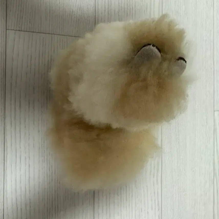 [BUNJANG] Alpaca Plush Toy / 알파카인형 판매합니다!