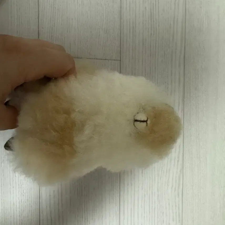 [BUNJANG] Alpaca Plush Toy / 알파카인형 판매합니다!