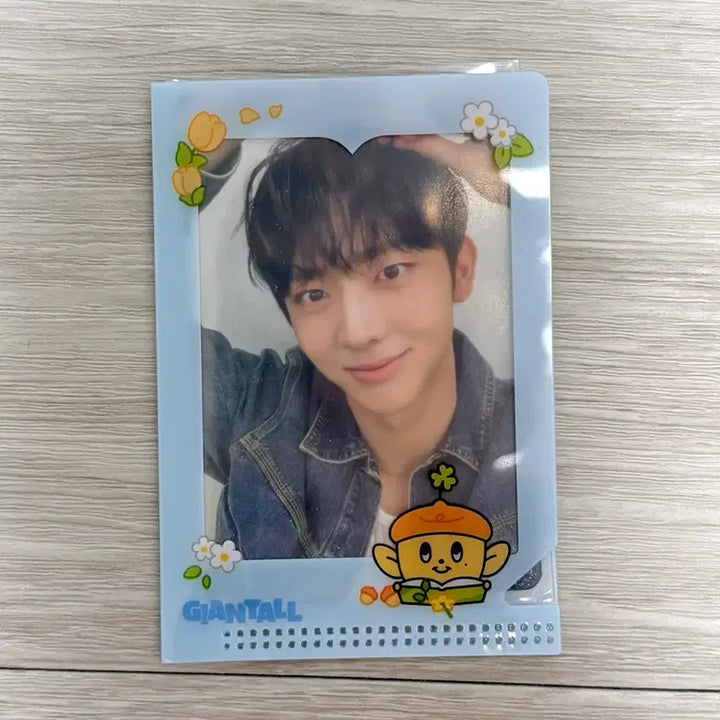 [BUNJANG] ANDTEAM Yuseong Photocard Yokohama Limited Edition / 앤더블 유승언 일본콘 한정 포카 양도 + 자이언톨 슬리브