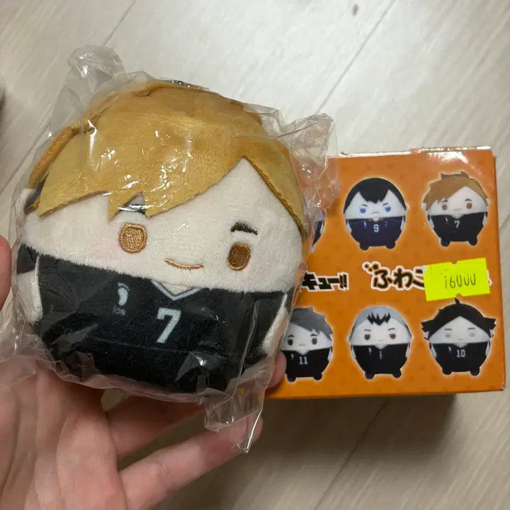 [BUNJANG] Haikyuu!! Fuwakororing Vol. 1 Miya Atsumu Plush / 하이큐 후와코로링 1탄 미야 아츠무