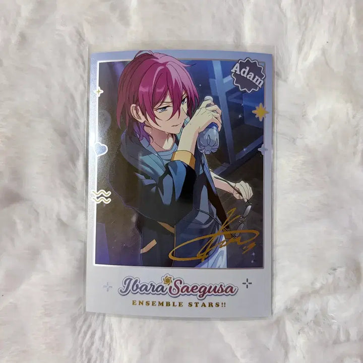 [BUNJANG] Ensemble Stars Saegusa Ibara &