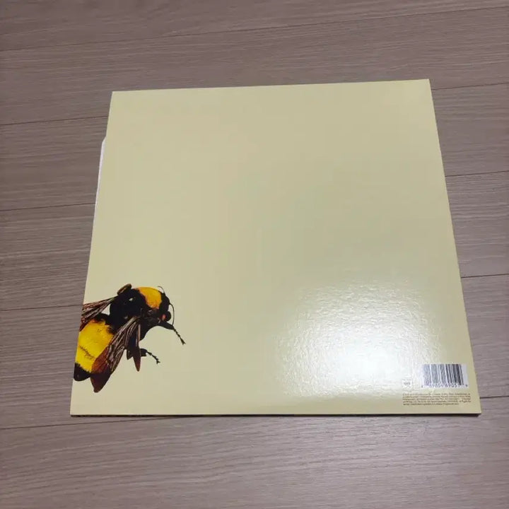 [BUNJANG] Flower Boy LP / Flower boy lp