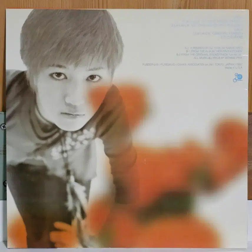 [BUNJANG] Bonnie Pink Lie Lie Lie LP / Bonnie Pink - Lie Lie Lie LP
