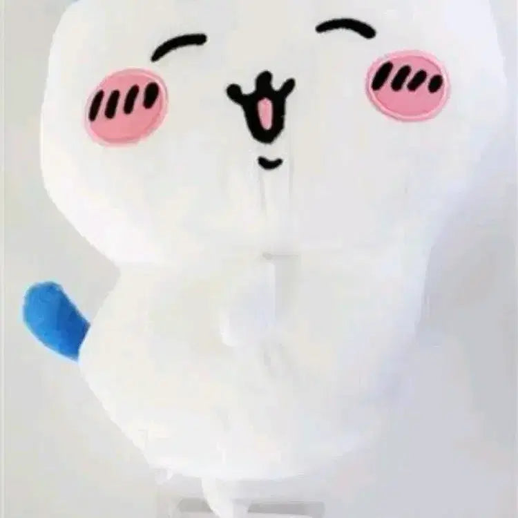 [BUNJANG] Chiikawa Hachiwara Plush Doll / 치이카와 하치와레 인형 팝니다