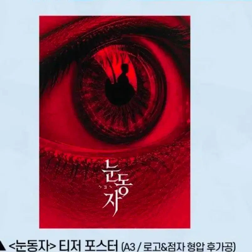 [BUNJANG] The Eyes Movie Poster A3 / 영화 눈동자 포스터 A3