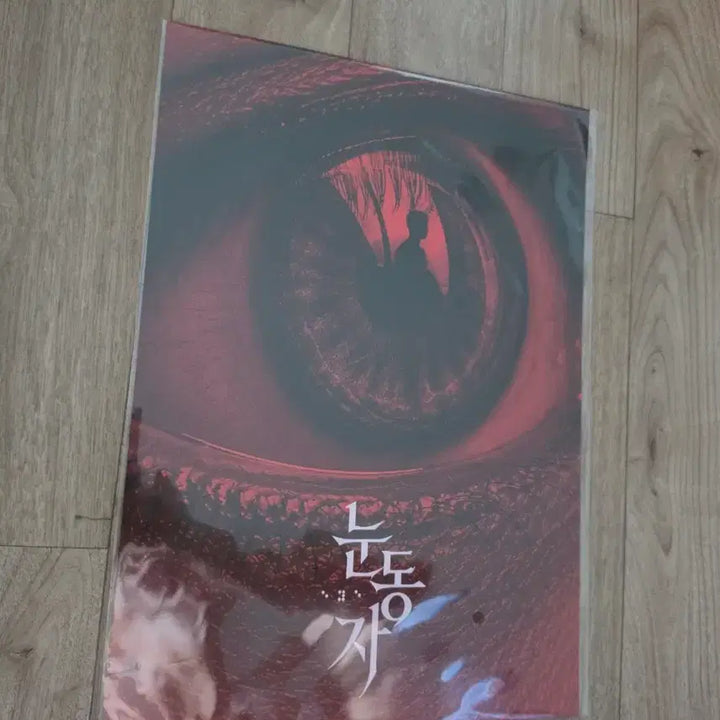 [BUNJANG] The Eyes Movie Poster A3 / 영화 눈동자 포스터 A3