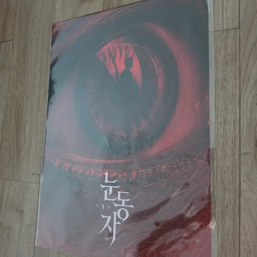 [BUNJANG] The Eyes Movie Poster A3 / 영화 눈동자 포스터 A3