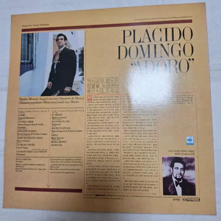 [BUNJANG] Placido Domingo Adore LP Vinyl / 플라시도 도밍고 LP ADORE