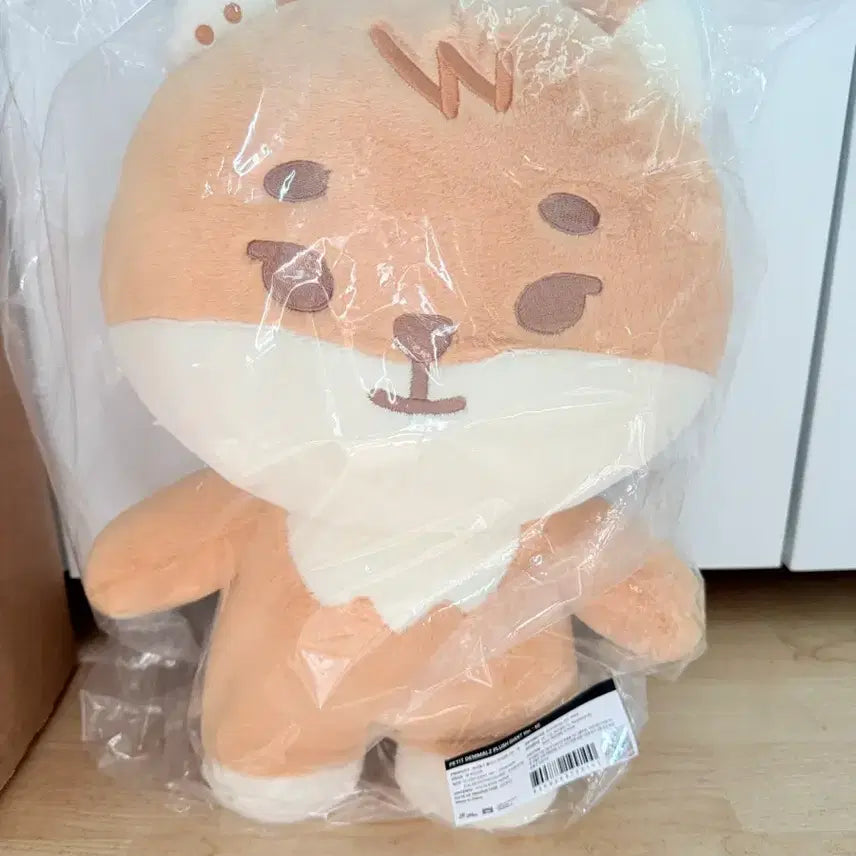 [BUNJANG] DAY6 Plush / DAY6 자쁘멀  케 입니다.