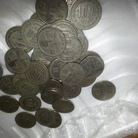[BUNJANG] 1974 100 Won Coin Collection (30 pieces) / 100원 동전 30개 1974년 중고
