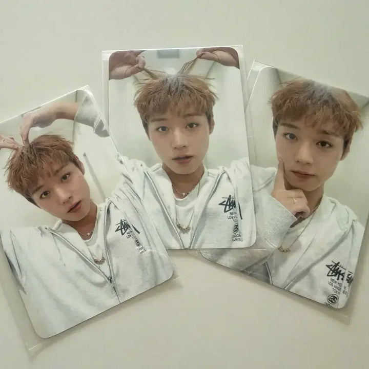 [BUNJANG] Park Ji Hoon Fancon MD Photocard Bundle Set (3 Types, Sealed) / 박지훈 팬콘 MD 포카 3종 미개봉 일괄
