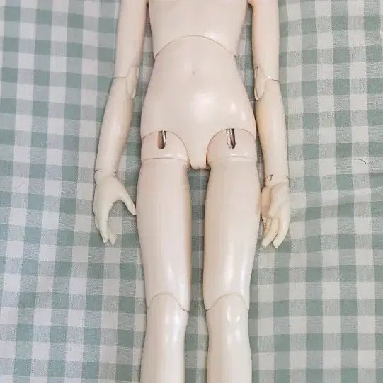 [BUNJANG] Dim Doll Elf Flone Head + Luts Girl Body BJD / 딤돌 엘프 플로네 + 루츠 여아바디 Dim Doll BJD
