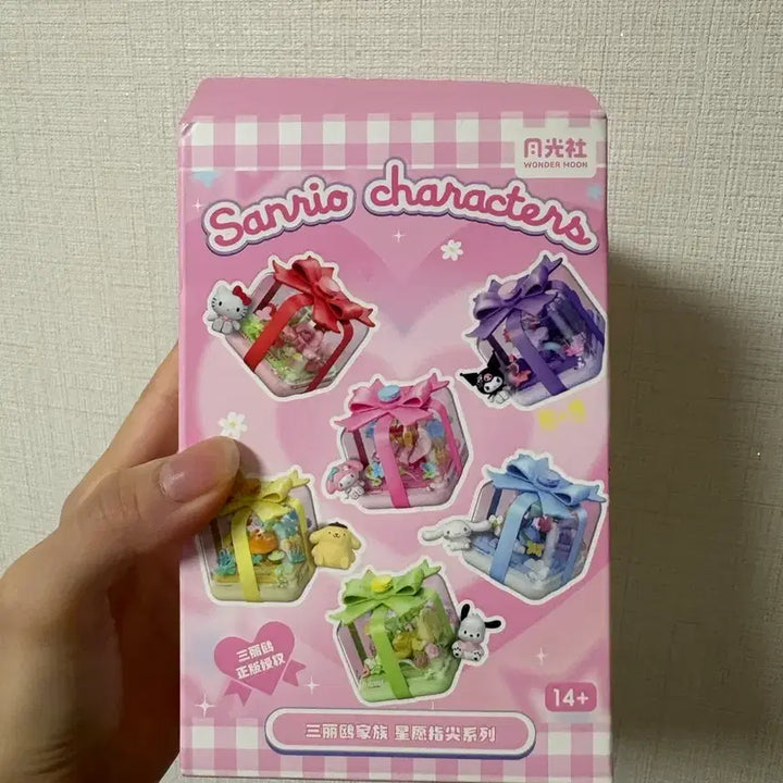 [BUNJANG] Sanrio Pochacco Cinnamoroll Gift Box Figure Set / 산리오 포차코 시나모롤 선물상자 피규어