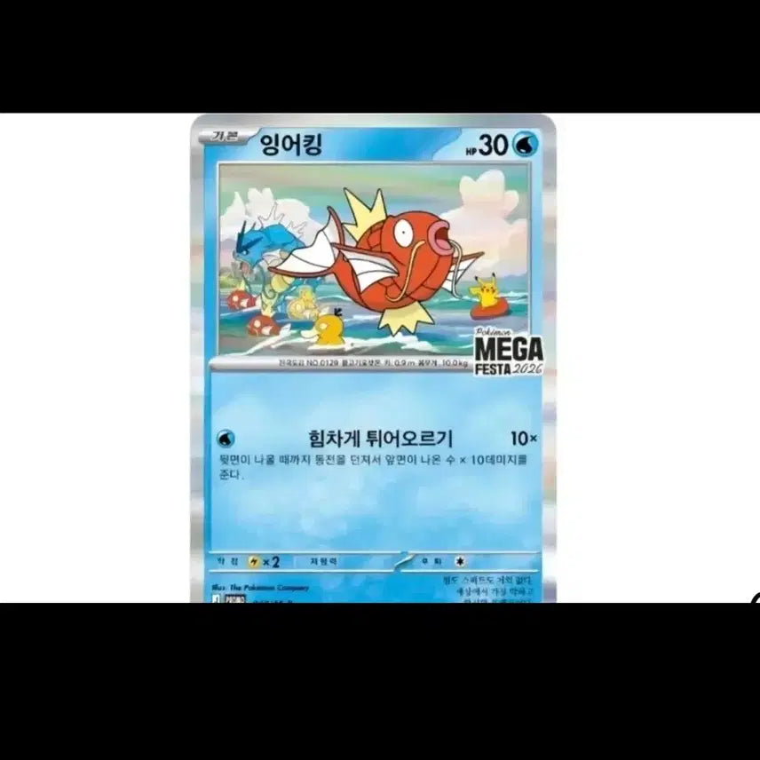 [BUNJANG] Pokemon Magikarp Promo Card / 포켓몬 잉어킹프로모 카드