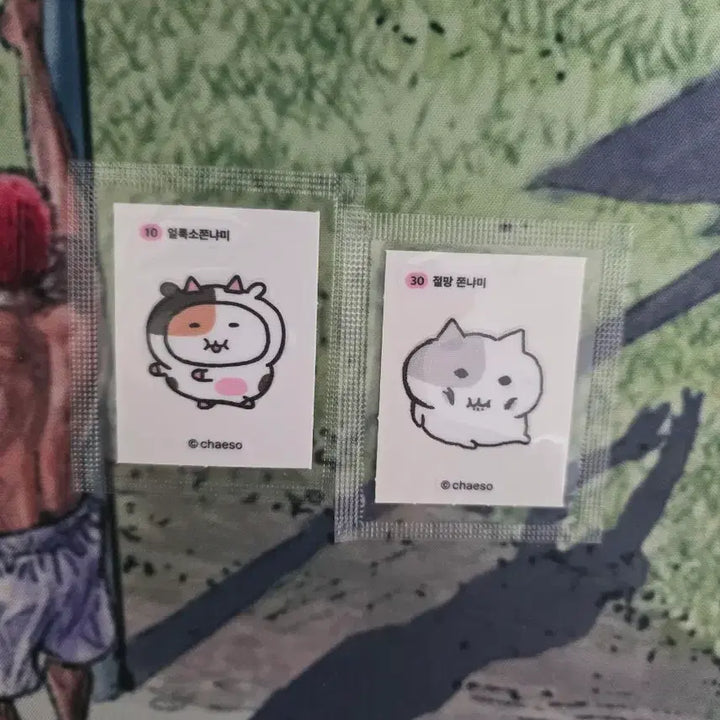 [BUNJANG] Jjonnyami Sticker Collection / 쫀냐미 띠부씰 판매...4번,7번,8번,24번,25번,29번,30번