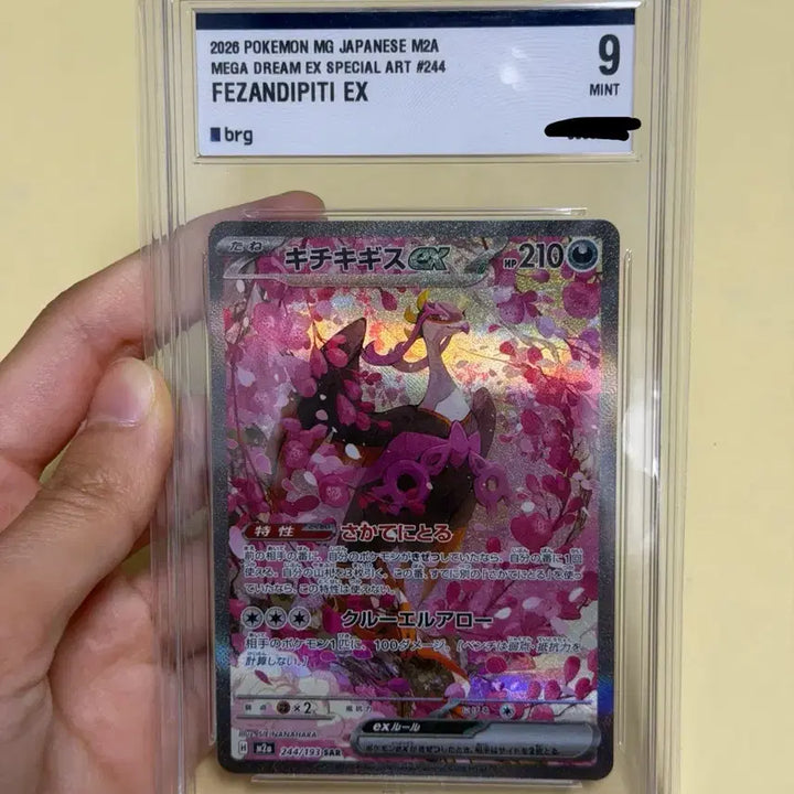 [BUNJANG] Pokemon Card Groudon SAR (BRG9) Japanese - Mint Condition / 포켓몬카드 메가드림 기로치SAR 일판 BRG9 상태최상