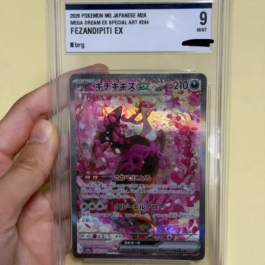 [BUNJANG] Pokemon Card Groudon SAR (BRG9) Japanese - Mint Condition / 포켓몬카드 메가드림 기로치SAR 일판 BRG9 상태최상
