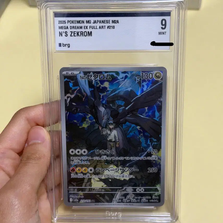 [BUNJANG] Pokemon Card Mega Dream N&