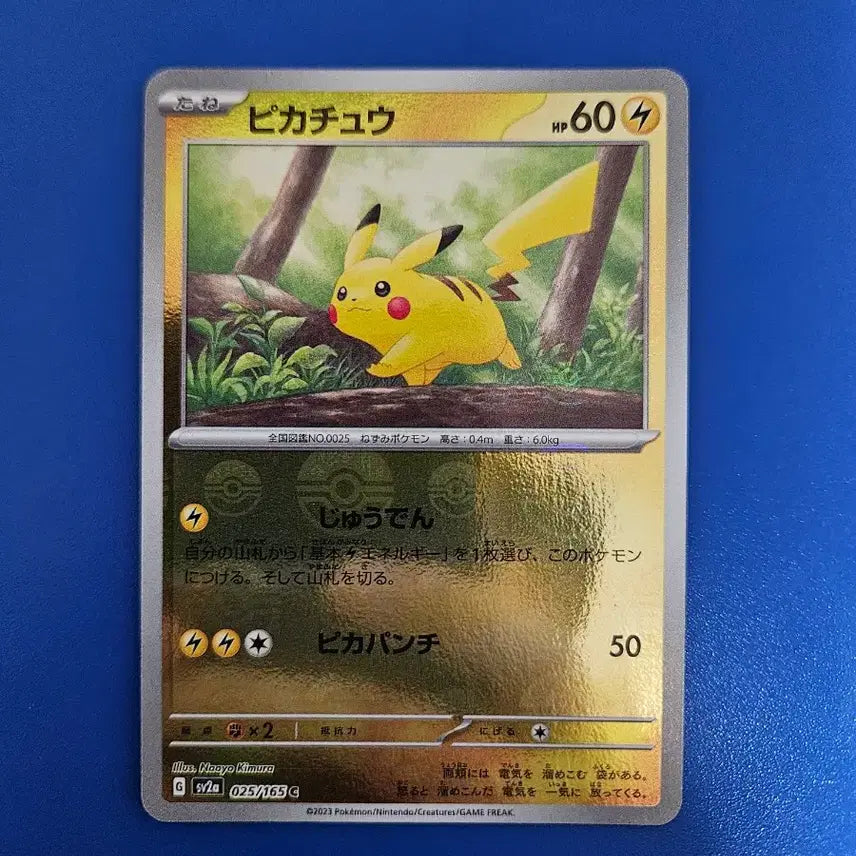[BUNJANG] Pokemon Card Japanese Monster Ball Pikachu / 포켓몬카드 일판 몬스터볼 피카츄