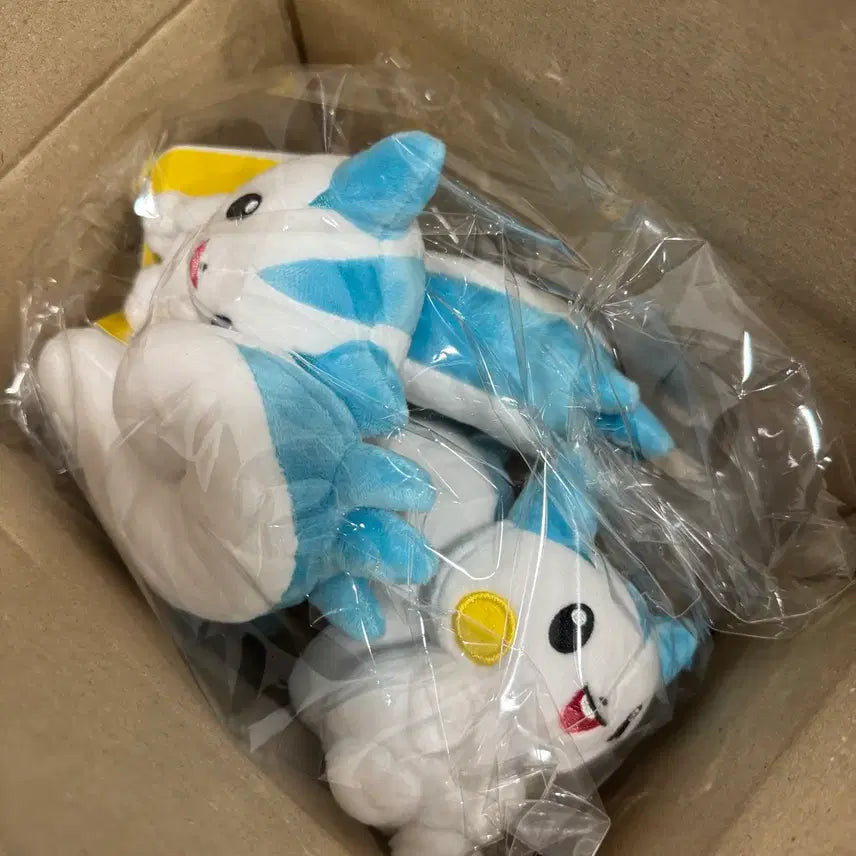 [BUNJANG] Pokemon Center Pachirisu Fit Doll / [정가이하] 포켓몬센터 파치리스 핏 fit 인형