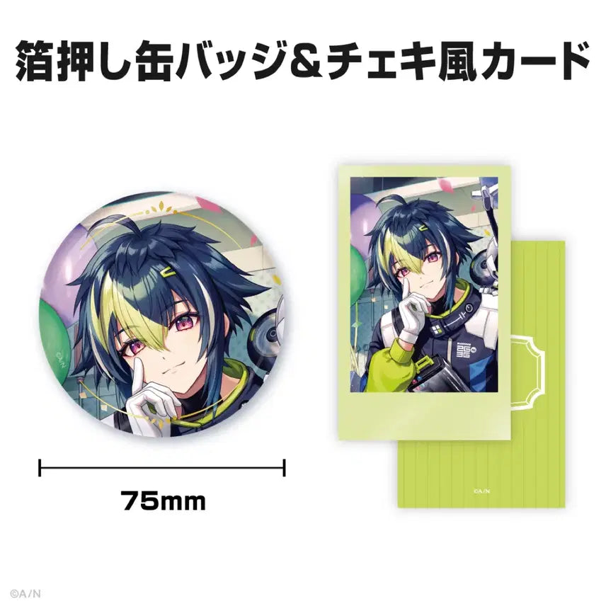 [BUNJANG] Inami Rei 2025 Birthday Goods B5 Acrylic Panel Set + Cheki Can Badge Bundle Set / 이나미 라이 2025 생일굿즈 B5 아크릴판넬 세트 + 체키 캔뱃지 일괄