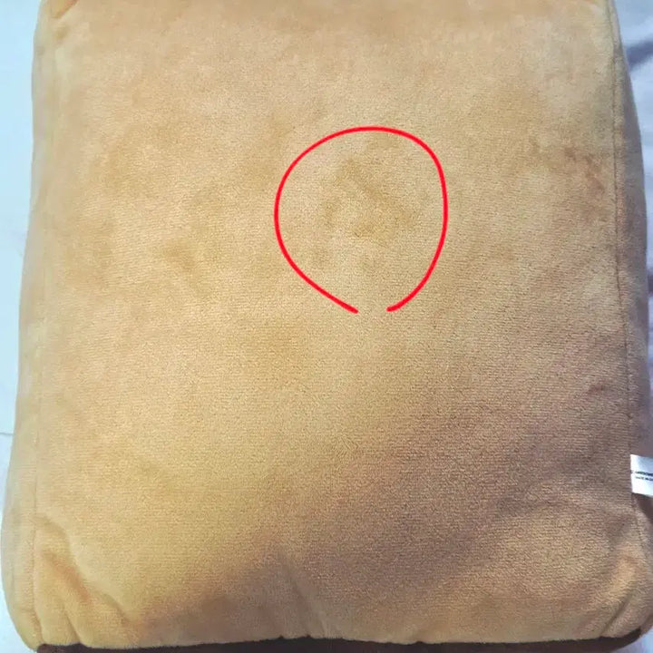 [BUNJANG] Zombie High Envelope Zombie Plush / 좀비고 봉투좀비 인형