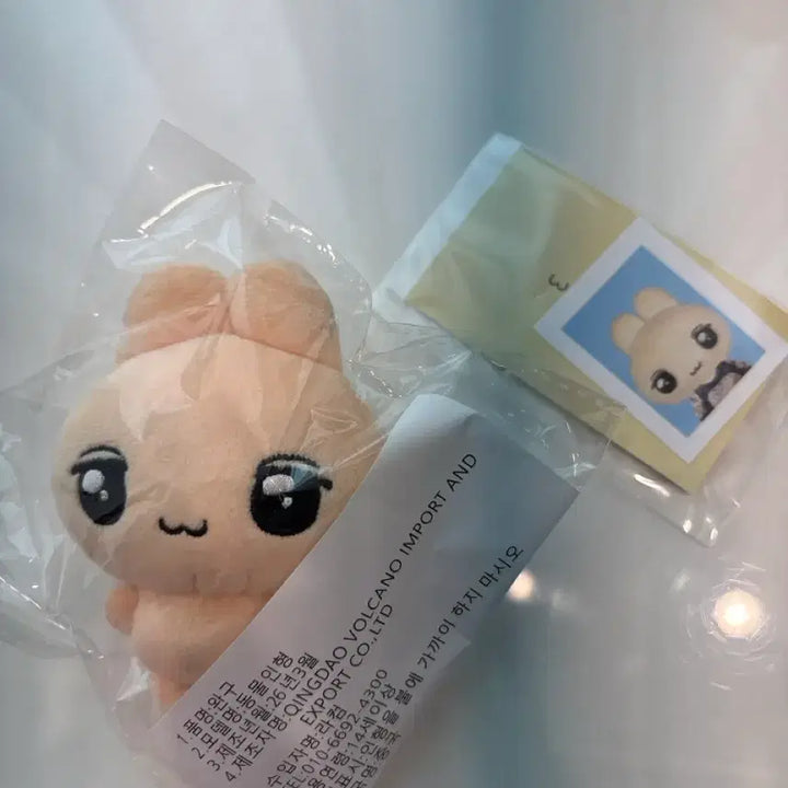 [BUNJANG] Park Jihoon Wingtto Doll / 원가이하)박지훈 인형 윙또 판매
