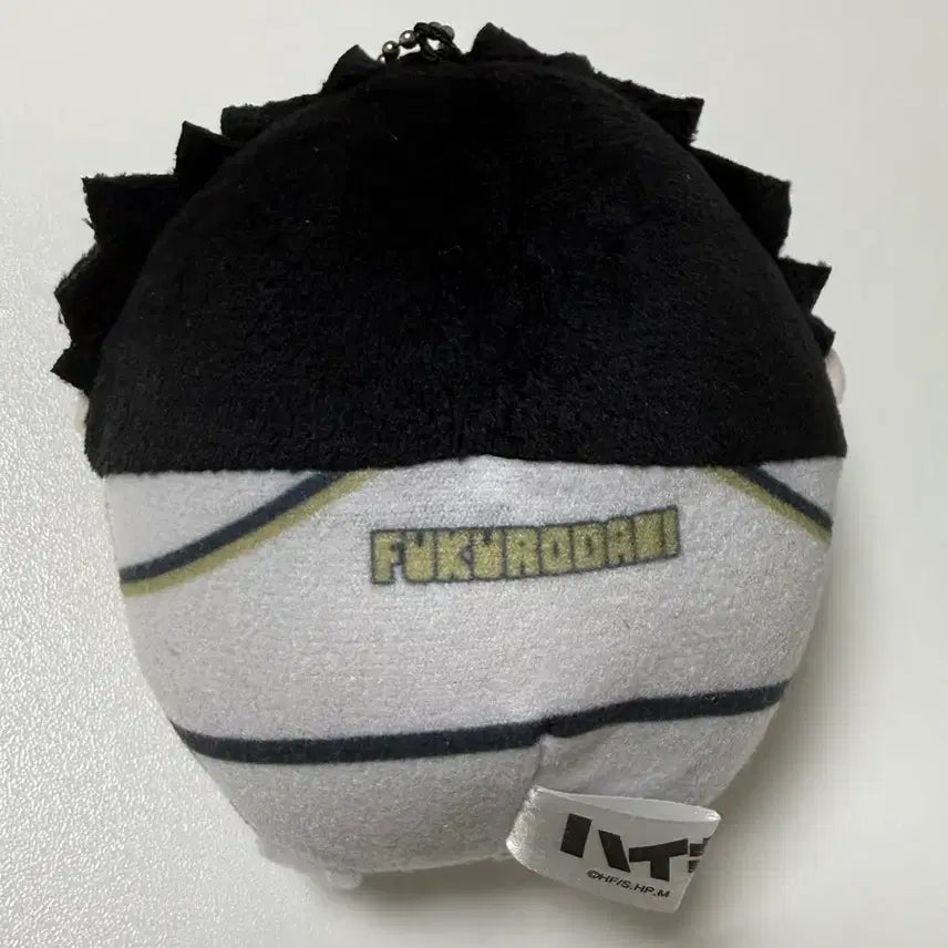 [BUNJANG] Haikyuu Akaashi Fuwakororin Plush / 하이큐 아카아시 후와코로링 인형