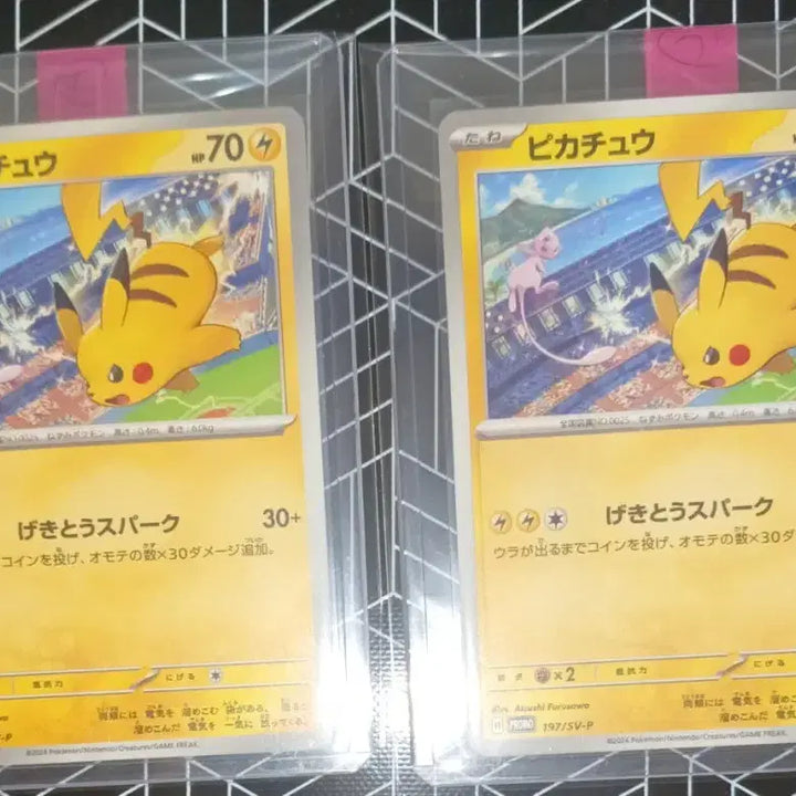 [BUNJANG] Pokemon 2024 Gym Promo Cards (Album Use) - 3 Cards / 포켓몬카드 2024 짐프로모 카드 일괄 2장팝니다(앨범용)
