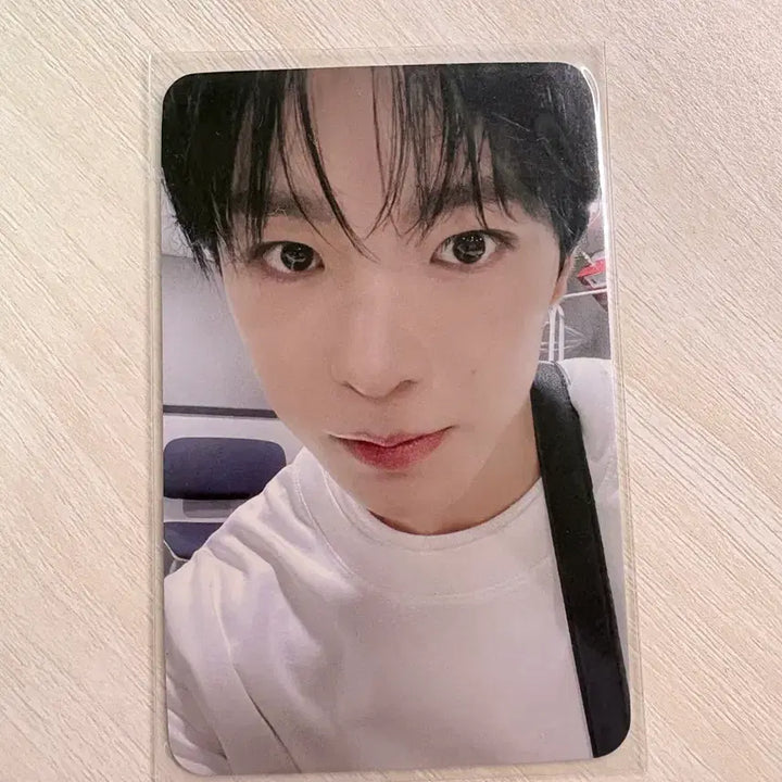 [BUNJANG] NCT WISH Yushi Songbird Photocard / 엔시티위시 nctwish 유우시 포카 송버드 사웨 songbird