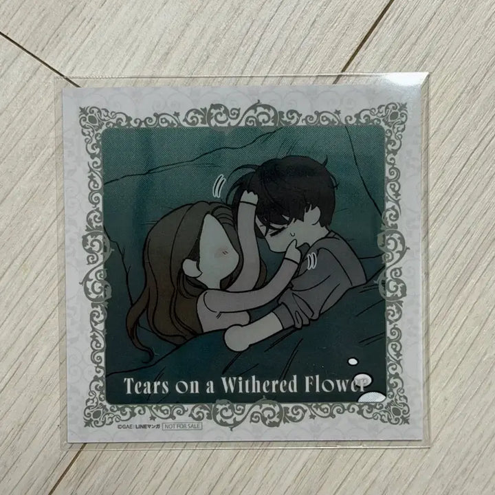 [BUNJANG] Seulbinseulbin Photocard / 시든 꽃에 눈물을 포카 양도