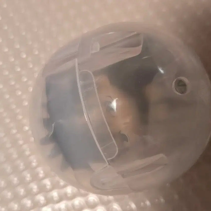 [BUNJANG] Jujutsu Kaisen 5th Anniversary Machiboke Machiboke Capsule Toy Fushiguro Megumi (Sealed) / 미개봉 ) 주술회전 5주년 마치보케 마치보우케 가챠 캡슐 후시구로 메구미