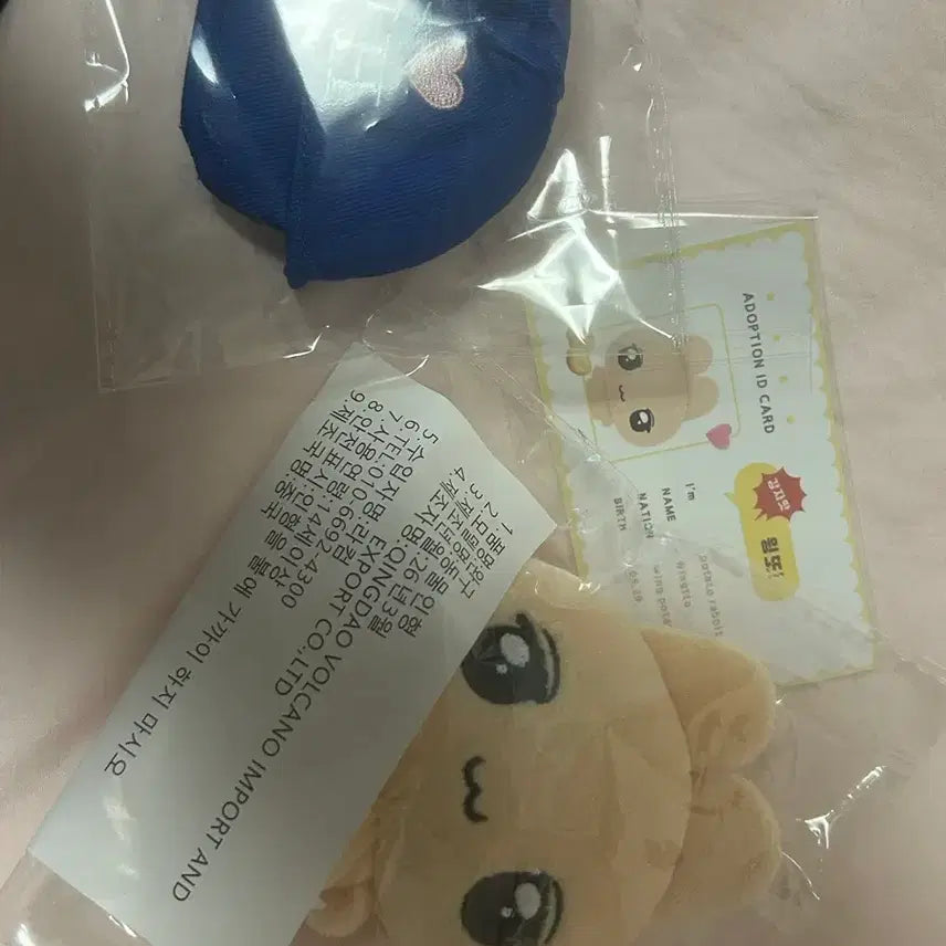 [BUNJANG] Park Ji Hoon Wing Tto Sealed Photocard / 박지훈 윙또 정가 양도 무료배송