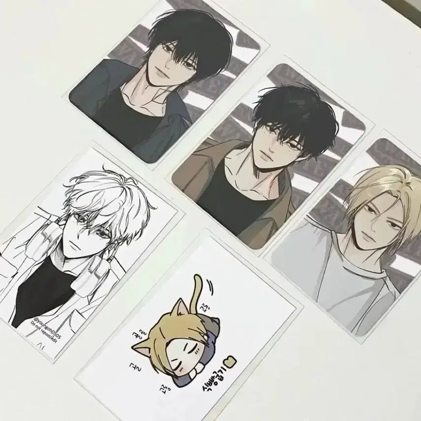[BUNJANG] Sakamoto Days Nagumo Natsuki Shin Bundle Set Photocard / 일괄 사카모토데이즈 나츠키 나구모 신 영오 통판 포카 포토카드 양도 판매