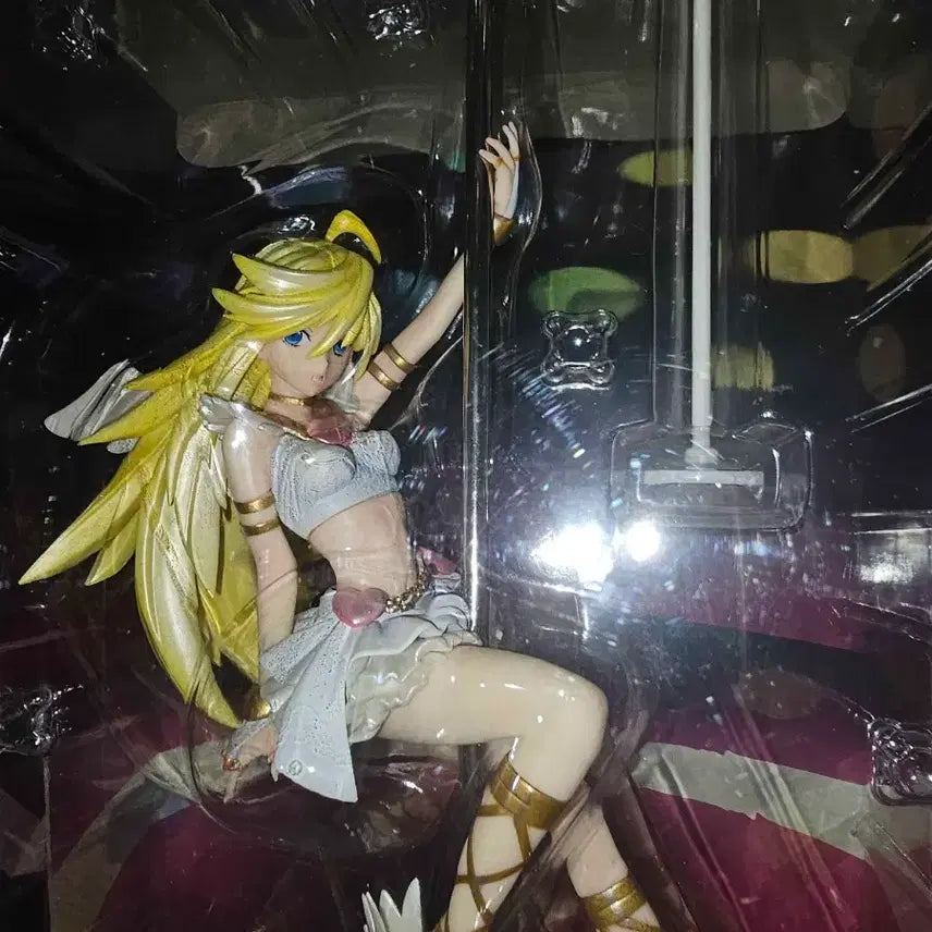 [BUNJANG] Pantsu Metamorphose Figure (Opened) / 팬스가 팬티 메타모르포제 피규어