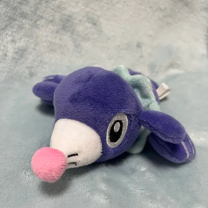 [BUNJANG] Pokemon CN Ball CN-Ball Plush / 포켓몬스터 누리공 쿳타리 인형