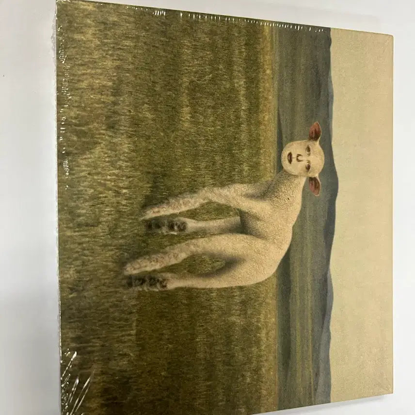[BUNJANG] Thornapple Animal Album Unsealed Standard Edition CD / 쏜애플 동물 CD 미개봉 일반판 판매