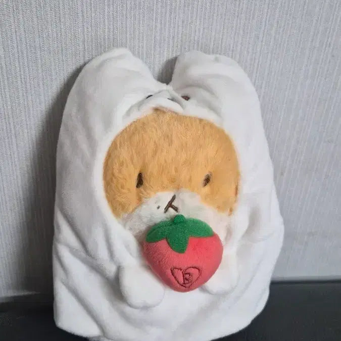 [BUNJANG] Taeragi Ghost Costume Plush Doll with Strawberry Accessory / 유령옷입은 타래기