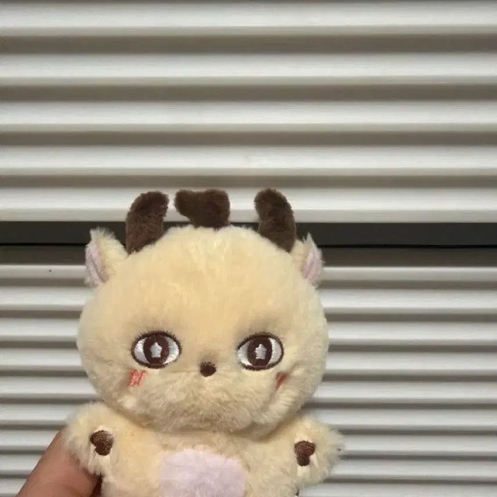 [BUNJANG] Park Ji Hoon 10cm &