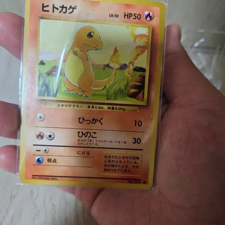 [BUNJANG] 1996 Charizard First Edition Trading Card / (일판)1996년 초판 파이리(배송비 포함)