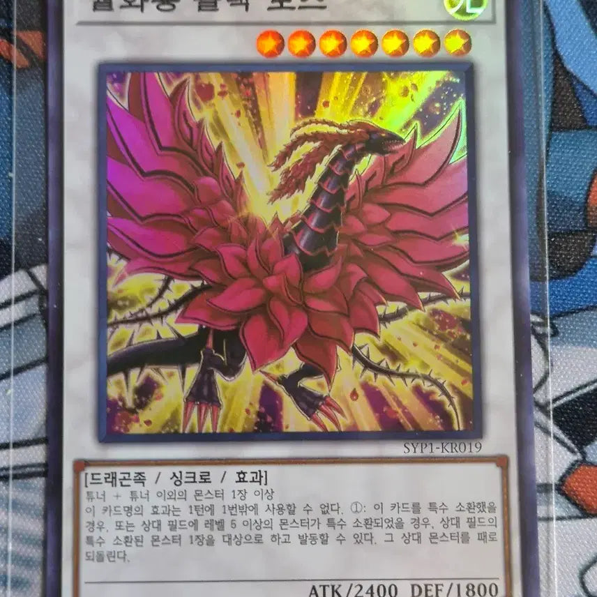 [BUNJANG] Yu-Gi-Oh! "Moonlight Dragon, Black Rose" Super Rare Card (SYP1) / 유희왕 월화룡 블랙로즈